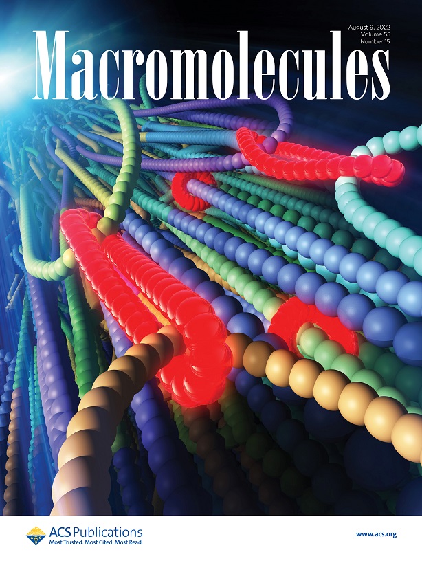 Hagita-Murashima-Ohkuma-Jinnai-Macromolecules2022