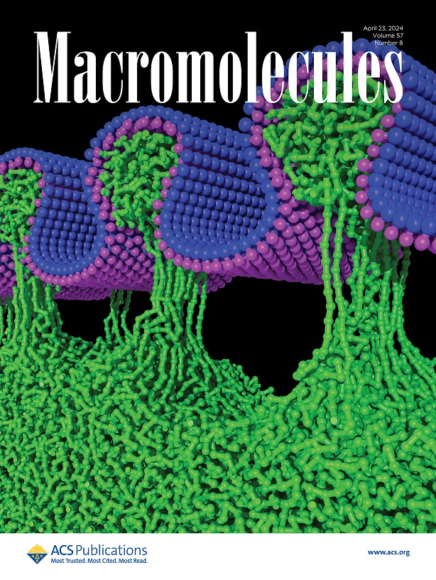 Hagita-Murashima-Miyata-Jinnai-Macromolecules2024