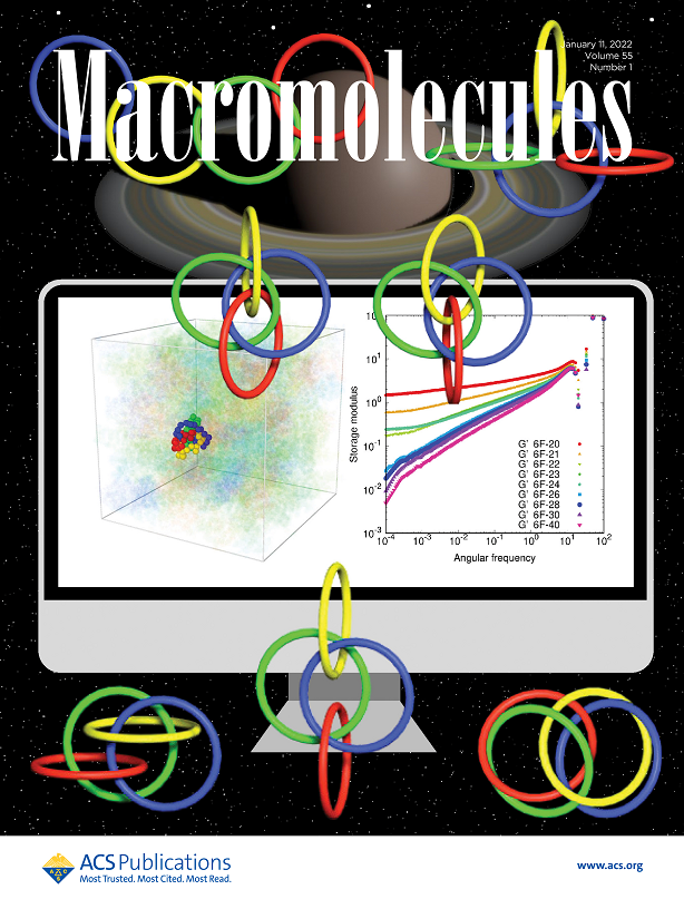 Hagita-Murashima-Sakata-Macromolecules2022